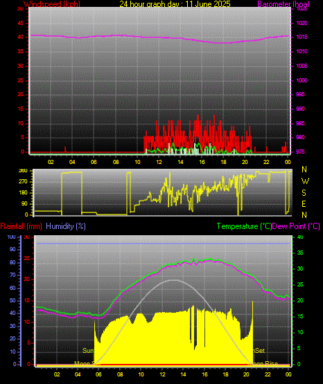 24 Hour Graph for Day 11