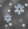 Light snow, Nebbia Light snow, Nebbia